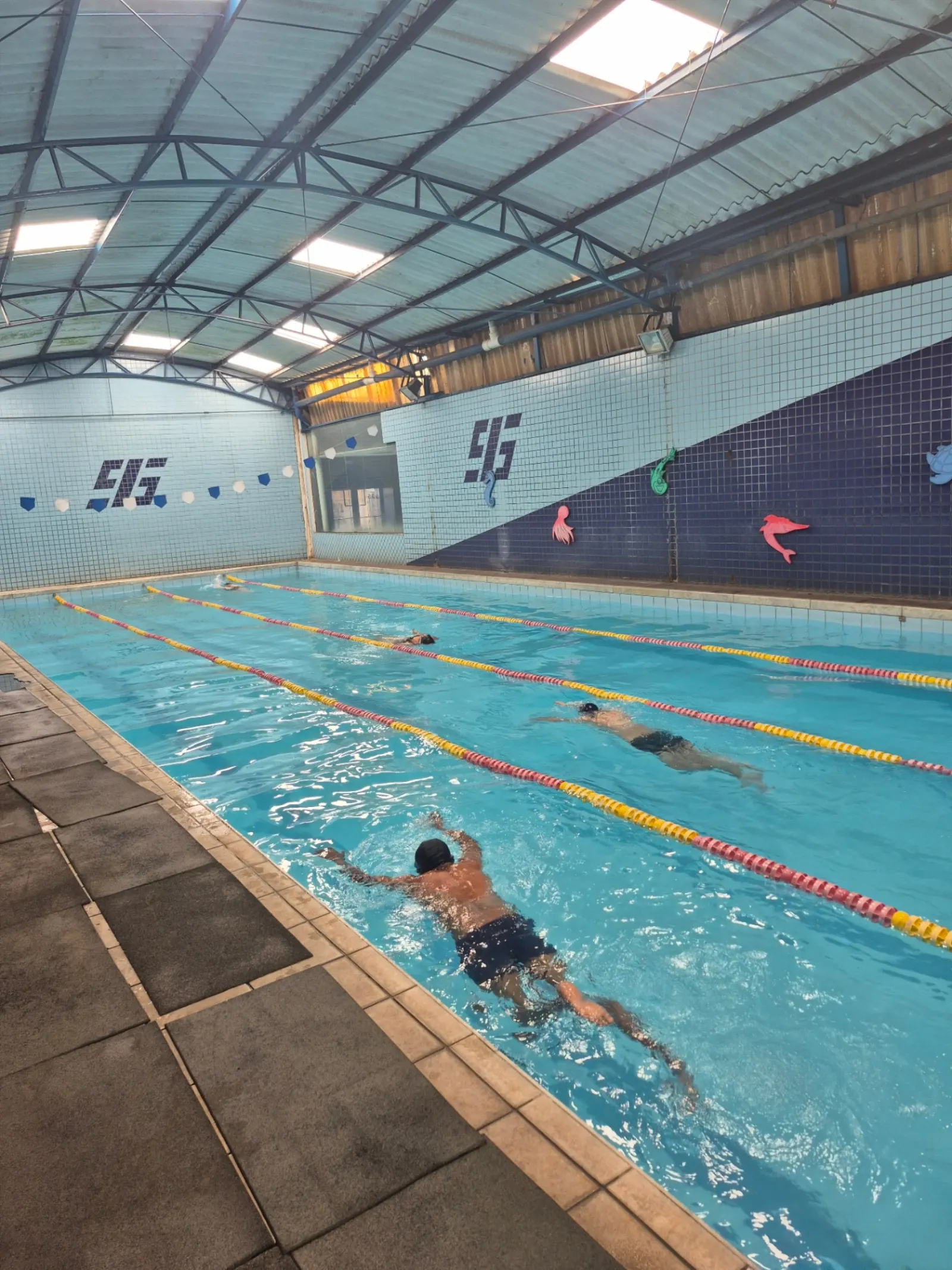 Alunos treinando nado em piscina raiada