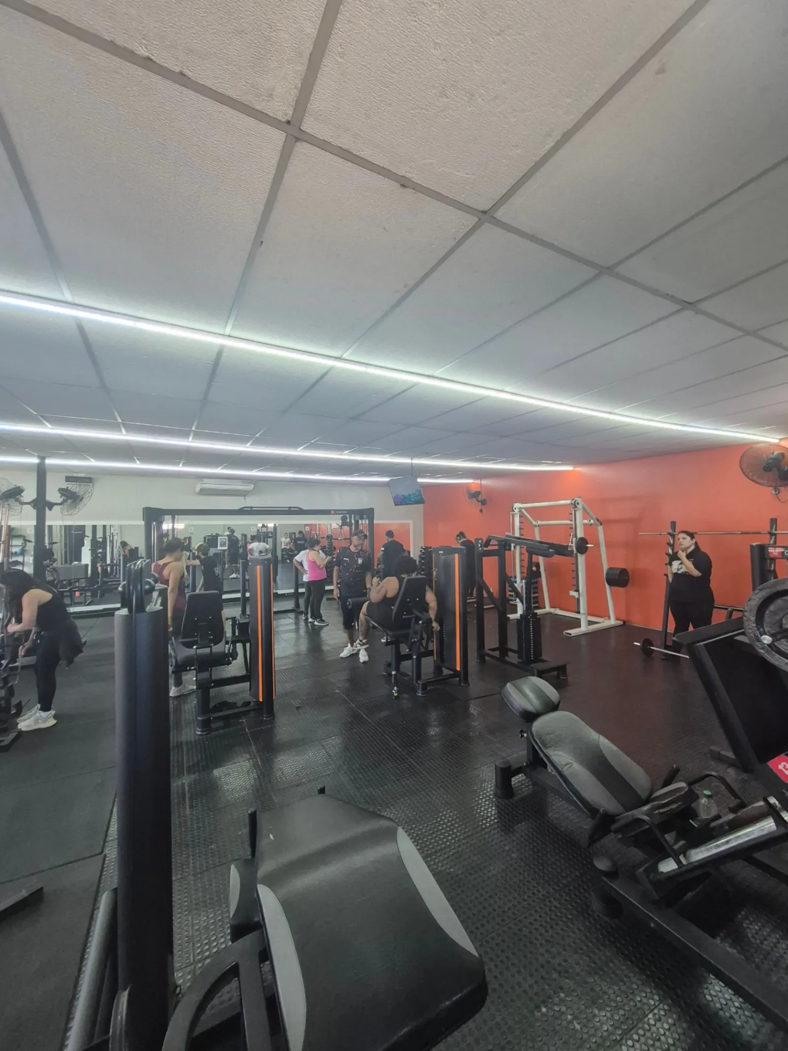 Musculação e treino funcional