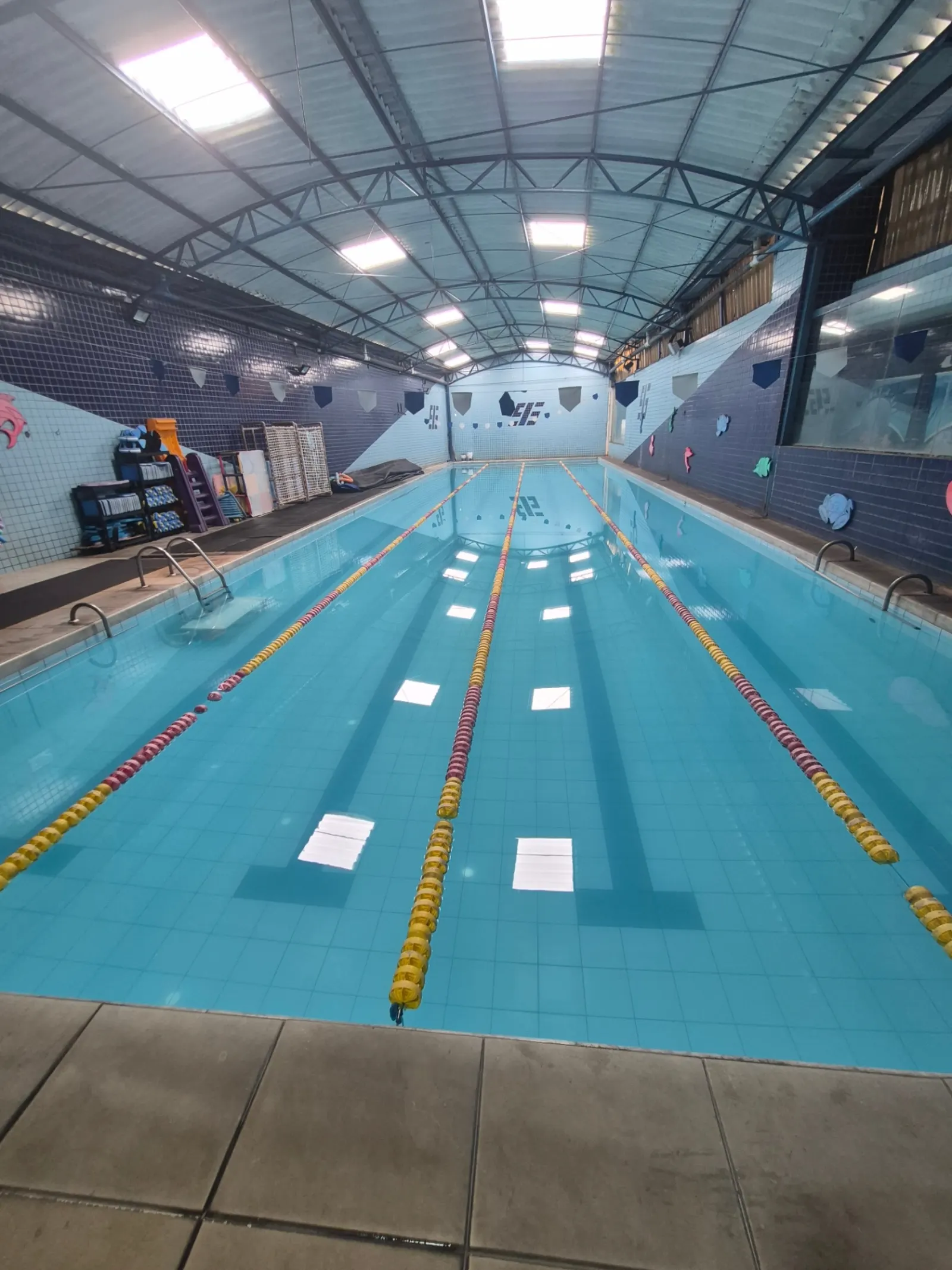 Piscina semi-olímpica preparada para as aulas